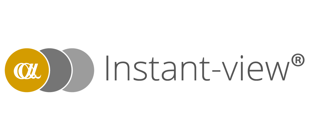 logo-INSTANT-VIEW-e1643754795168